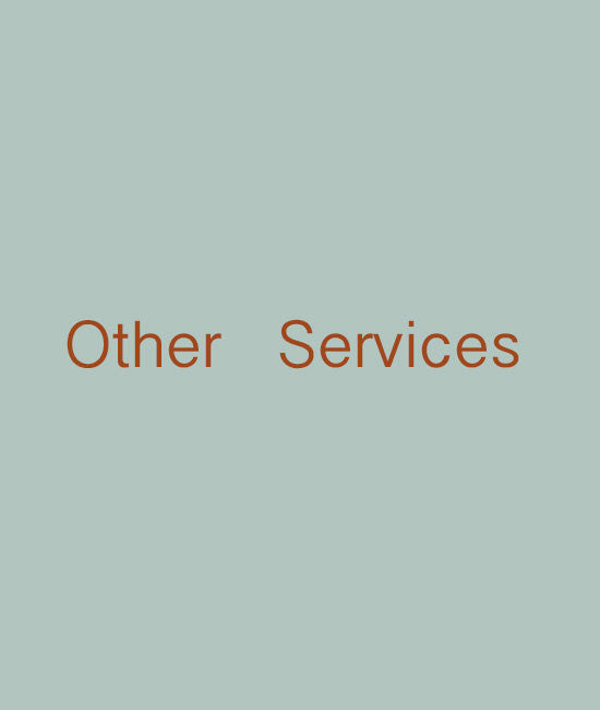 Other services - shdress